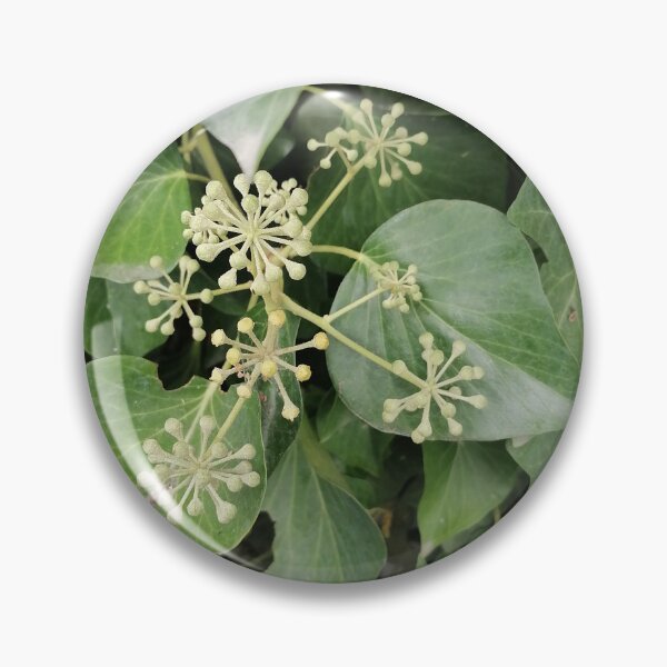 Artikelvorschau, Ivy Flowers and Green Leaves entworfen und verkauft von PhuongVoArt.