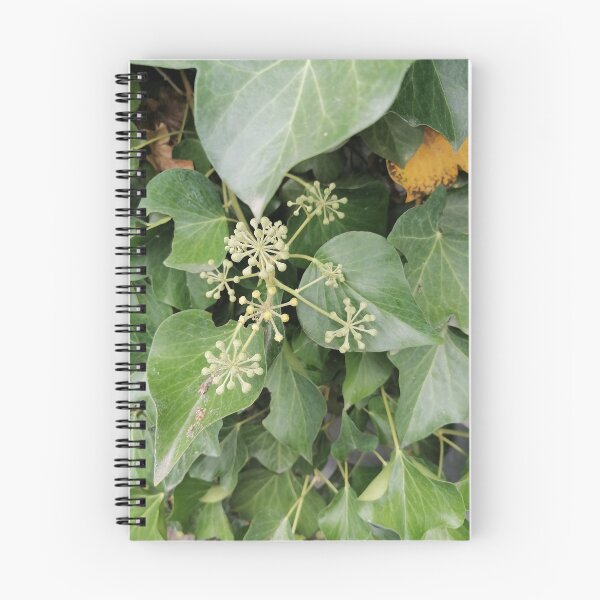 Item preview, Ivy flowers and green leaves designed and sold by PhuongVoArt.