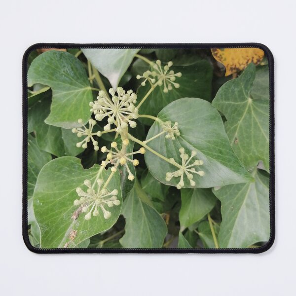 Artikelvorschau, Ivy Flowers and Green Leaves entworfen und verkauft von PhuongVoArt.