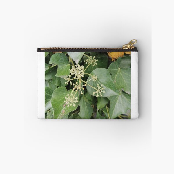 Artikelvorschau, Ivy Flowers and Green Leaves entworfen und verkauft von PhuongVoArt.