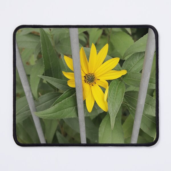 Item preview, Yellow Flower Behind Garden Fence designed and sold by PhuongVoArt.