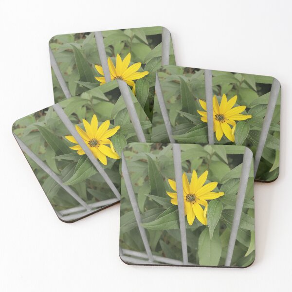 Item preview, Yellow Flower Behind Garden Fence designed and sold by PhuongVoArt.