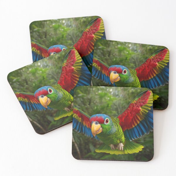 Item preview, Vibrant Parrot in Mid-Flight Jungle Scene Display designed and sold by Artessie.
