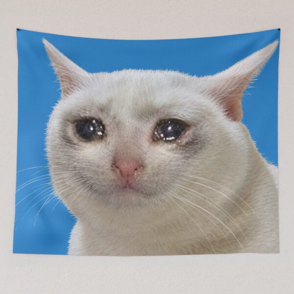 Item preview, Crying cat designed and sold by Chonk Borris.