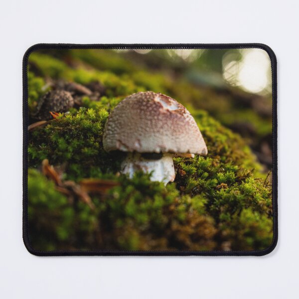 Item preview, Small forest mushroom in green moss – Magical nature photography designed and sold by Tammigrafie.