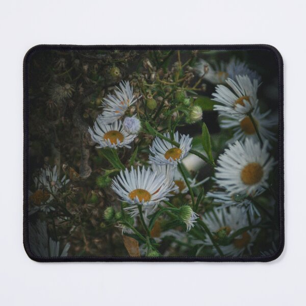 Item preview, Moody White Daisies Dark Botanical Bloom Photography designed and sold by wildsilencee.