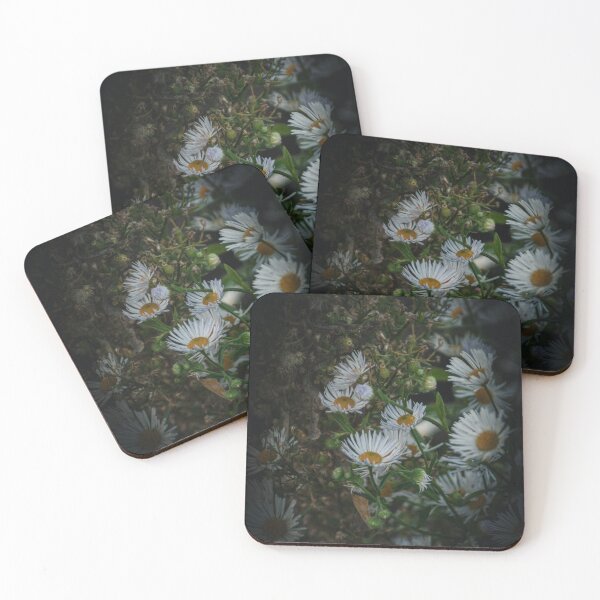 Item preview, Moody White Daisies Dark Botanical Bloom Photography designed and sold by wildsilencee.