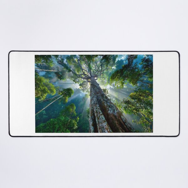 Item preview, Majestic Tree in Enchanting Forest Light Rays View designed and sold by Artessie.