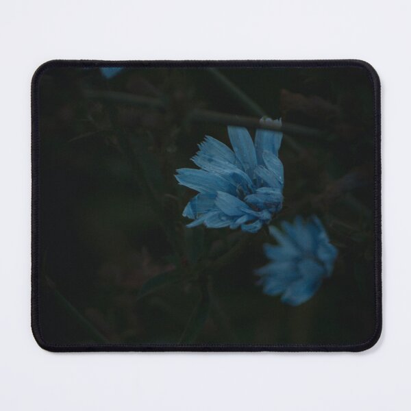 Item preview, Moody Blue Chicory Wildflower Dark Botanical Macro Art designed and sold by wildsilencee.