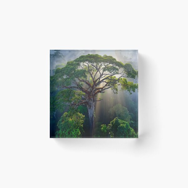 Item preview, Majestic Tree in Enchanted Misty Forest Landscape designed and sold by Artessie.