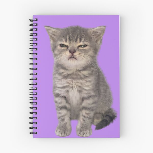 Item preview, Sleepy kitten designed and sold by Chonk Borris.
