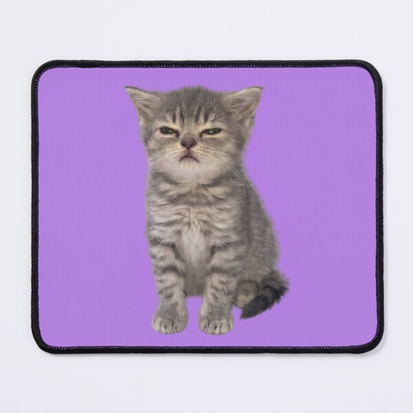 Item preview, Sleepy kitten designed and sold by Chonk Borris.