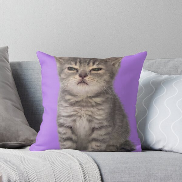 Item preview, Sleepy kitten designed and sold by Chonk Borris.