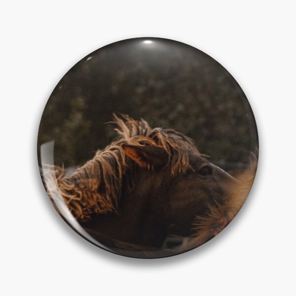 Item preview, Moody Brown Horse Golden Mane Sunset Light Equine Art designed and sold by wildsilencee.