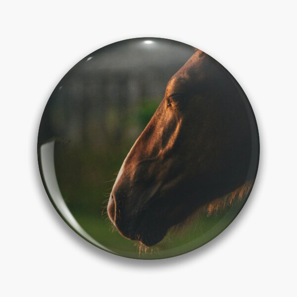 Item preview, Moody Horse Profile Golden Light Shadow Equine Photography designed and sold by wildsilencee.