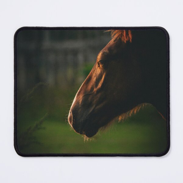 Item preview, Moody Horse Profile Golden Light Shadow Equine Photography designed and sold by wildsilencee.