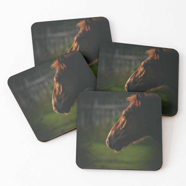 Item preview, Moody Horse Profile Golden Light Shadow Equine Photography designed and sold by wildsilencee.