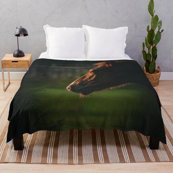 Item preview, Moody Horse Profile Golden Light Shadow Equine Photography designed and sold by wildsilencee.