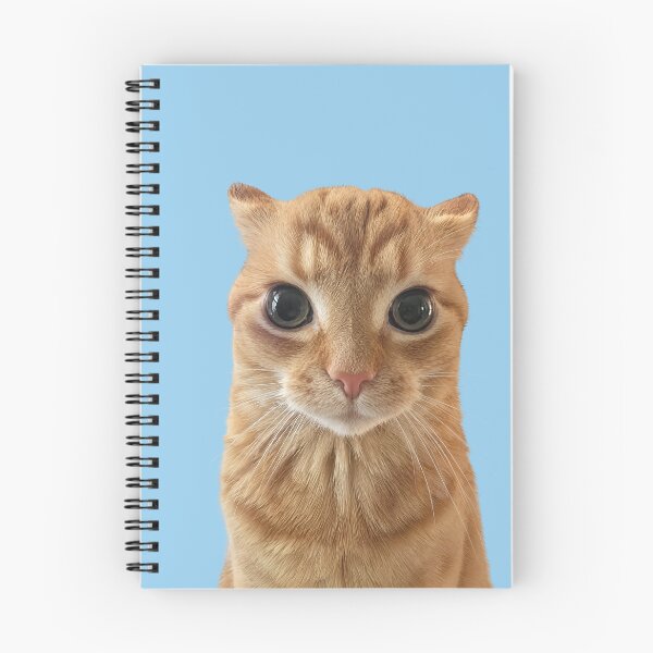 Item preview, Orange Cat Staring Meme designed and sold by Chonk Borris.