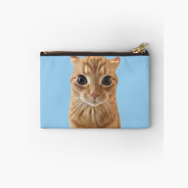 Item preview, Orange Cat Staring Meme designed and sold by Chonk Borris.