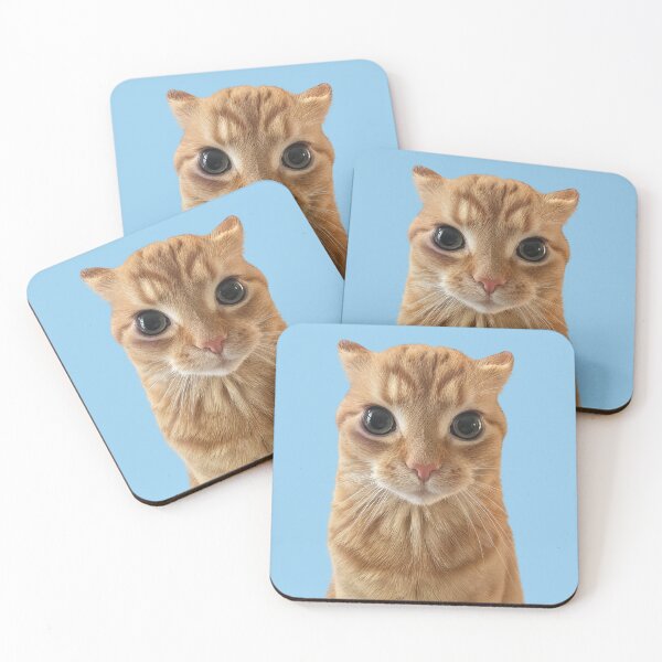 Item preview, Orange Cat Staring Meme designed and sold by Chonk Borris.