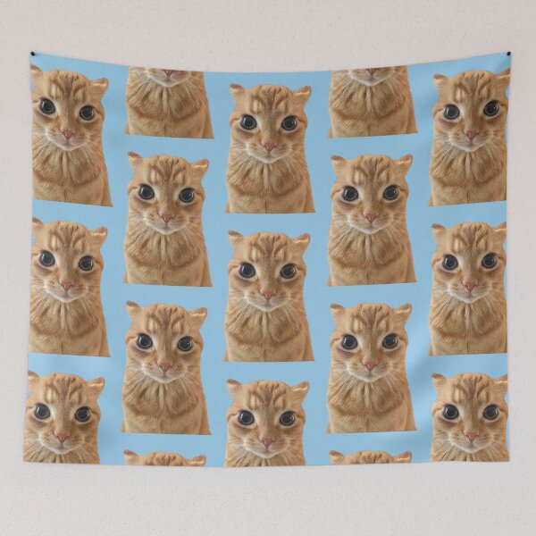 Item preview, Orange Cat Staring Meme designed and sold by Chonk Borris.