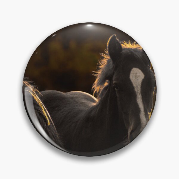 Item preview, Moody Black Horse Golden Rim Light Portrait Equine Photography designed and sold by wildsilencee.