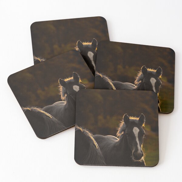 Item preview, Moody Black Horse Golden Rim Light Portrait Equine Photography designed and sold by wildsilencee.