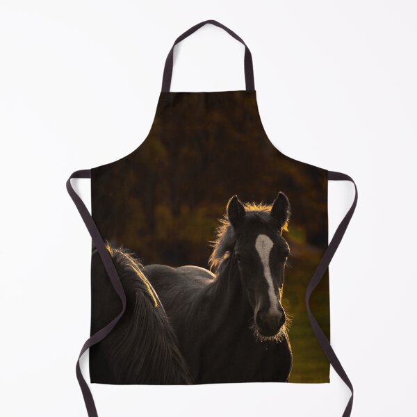 Item preview, Moody Black Horse Golden Rim Light Portrait Equine Photography designed and sold by wildsilencee.