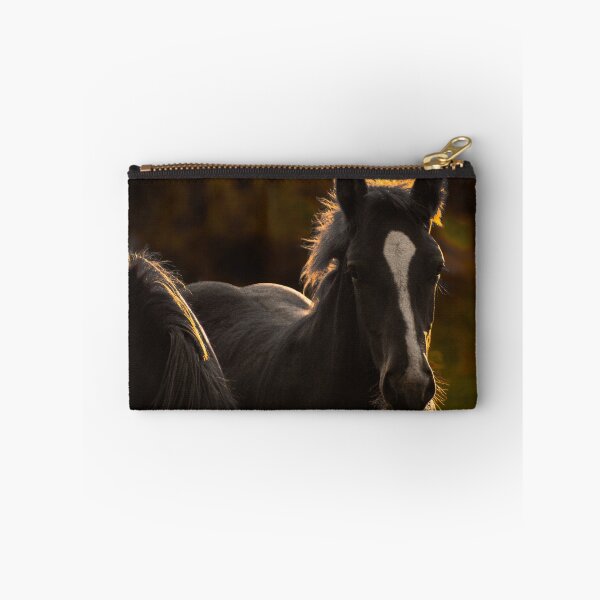 Item preview, Moody Black Horse Golden Rim Light Portrait Equine Photography designed and sold by wildsilencee.