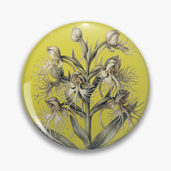 Item preview, Habenaria Medusa: The Gorgon Orchid Botanical Illustration Print designed and sold by FreiherrPK.