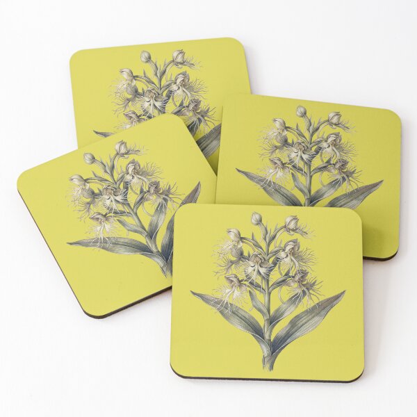 Item preview, Habenaria Medusa: The Gorgon Orchid Botanical Illustration Print designed and sold by FreiherrPK.