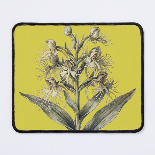 Item preview, Habenaria Medusa: The Gorgon Orchid Botanical Illustration Print designed and sold by FreiherrPK.