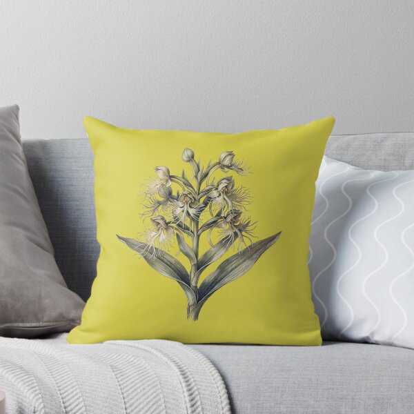 Item preview, Habenaria Medusa: The Gorgon Orchid Botanical Illustration Print designed and sold by FreiherrPK.