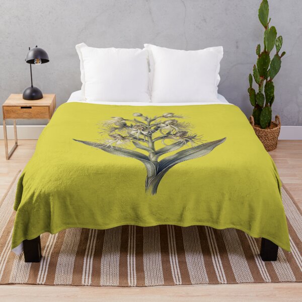 Item preview, Habenaria Medusa: The Gorgon Orchid Botanical Illustration Print designed and sold by FreiherrPK.