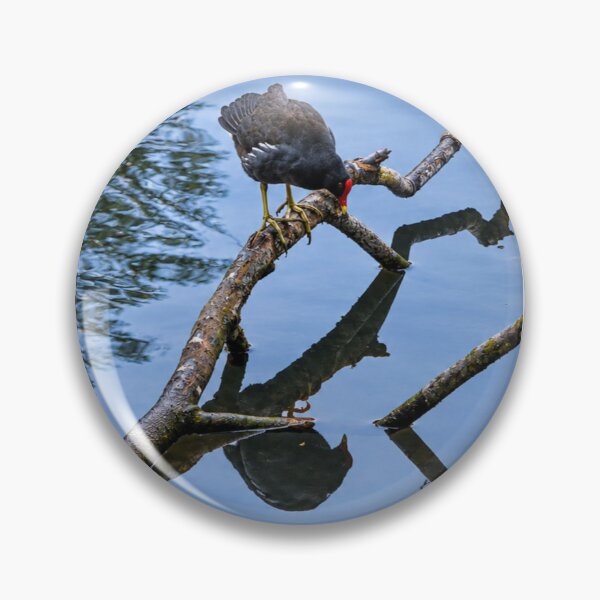 Item preview, Deep Thoughts with a Moorhen: Existential Crisis on a Stick designed and sold by Astute-Artio-Photography.