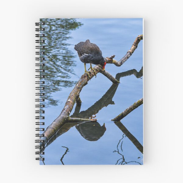 Item preview, Deep Thoughts with a Moorhen: Existential Crisis on a Stick designed and sold by Astute-Artio-Photography.