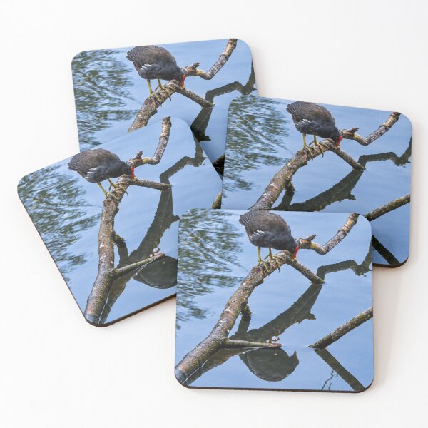 Item preview, Deep Thoughts with a Moorhen: Existential Crisis on a Stick designed and sold by Astute-Artio-Photography.