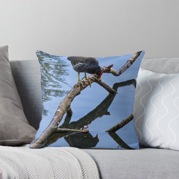 Item preview, Deep Thoughts with a Moorhen: Existential Crisis on a Stick designed and sold by Astute-Artio-Photography.