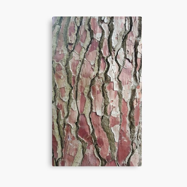 Item preview, Maritime Pine designed and sold by sharonperryart.