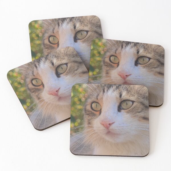 Item preview, Wide-Eyed Cat – Curious Feline Portrait designed and sold by MB-CatPrints.