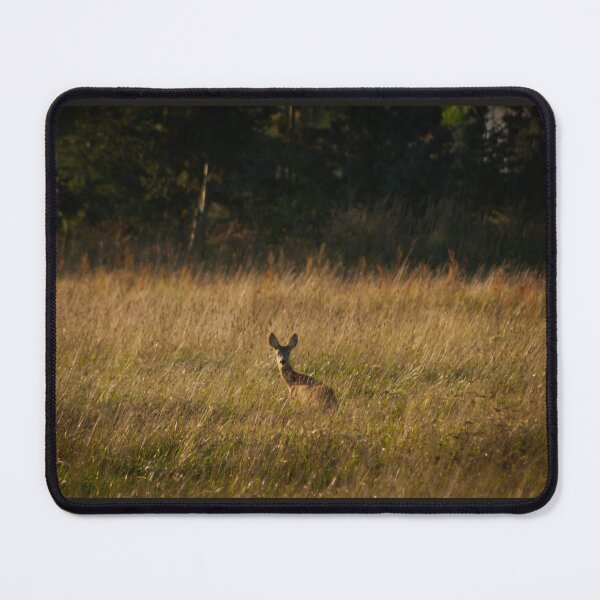 Item preview, Roe Deer in Golden Meadow Grass Wildlife Photography Art designed and sold by wildsilencee.