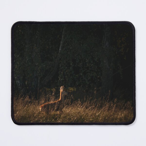 Item preview, Moody Roe Deer Meadow Forest Edge Sunset Wildlife Photography designed and sold by wildsilencee.