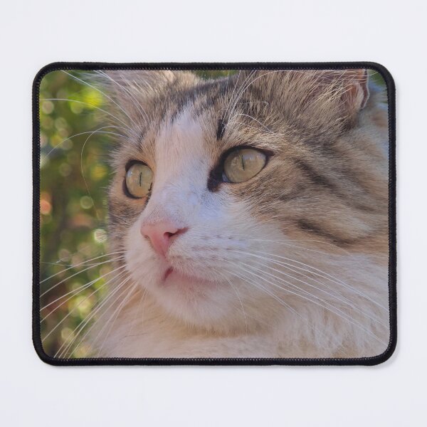 Item preview, Cat in the Garden – Beautiful Feline Portrait designed and sold by MB-CatPrints.