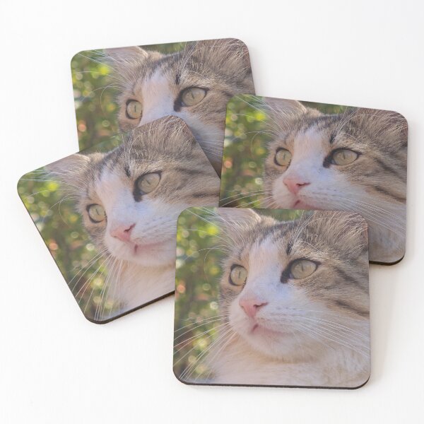 Item preview, Cat in the Garden – Beautiful Feline Portrait designed and sold by MB-CatPrints.