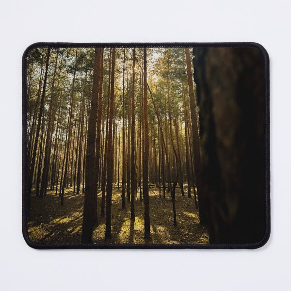 Item preview, Moody Pine Forest Golden Sunbeams Landscape Photography designed and sold by wildsilencee.