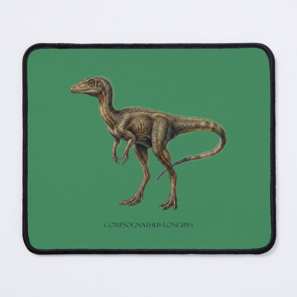 Item preview, Compsognathus Longipes: Jurassic Micro-Predator Fossil Print designed and sold by FreiherrPK.