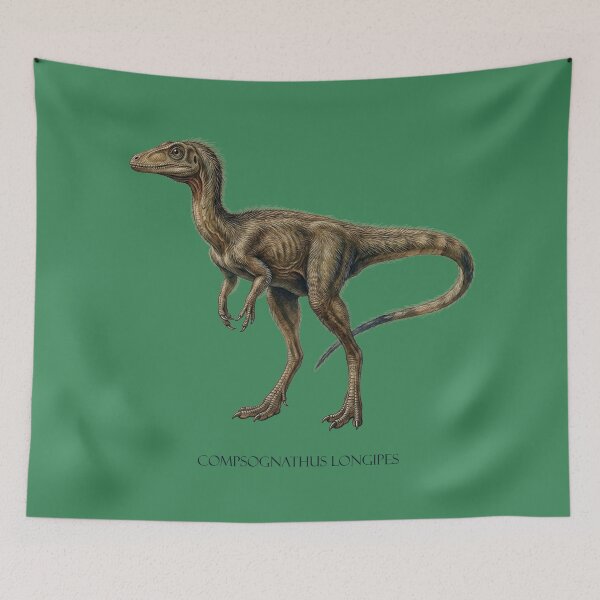Item preview, Compsognathus Longipes: Jurassic Micro-Predator Fossil Print designed and sold by FreiherrPK.