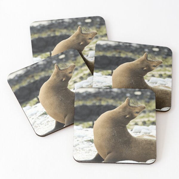 Item preview, Marine Wildlife Seal Sea Lion Animal Lover designed and sold by todantilane.
