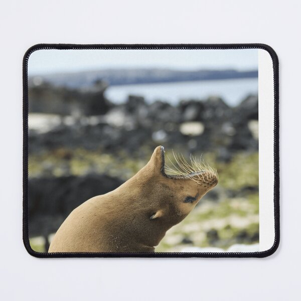 Item preview, Marine Wildlife Seal Sea Lion Animal Lover designed and sold by todantilane.